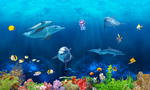 海洋生物