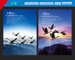 大雁团队