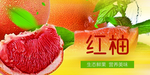 柚子
