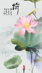 荷花玄关装饰画