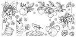 苹果素描线描手绘插画素材