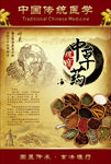 中草药海报