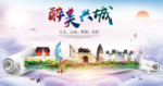 兴城醉大美卫生文明城市海报