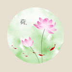 荷花