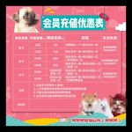 宠物店会员充值优惠表寄养美容