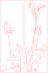 花线条画