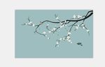 玉兰花鸟