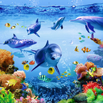 3D海豚