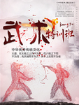 武术 中国功夫