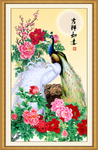 孔雀图
