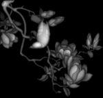 花鸟灰度图