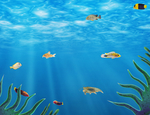 海洋生物