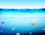海洋世界