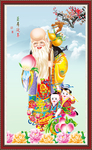 老寿星