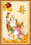 老寿星