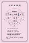 面部色斑区域分布图