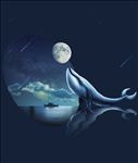 星空图片