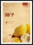 柚子