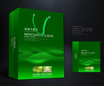 绿色手提袋 手提袋设计 手提袋