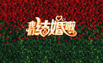 玫瑰花背景