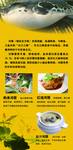 河豚 河豚海报 餐饮海报 养生