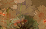 国画荷花