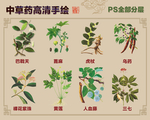 中草药手绘