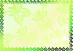 翡翠绿 花样证书纹