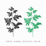 艾蒿