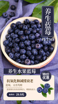 养生蓝莓