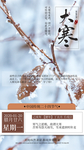 大寒