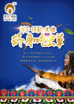双11虫草促销海报
