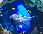 海底生物