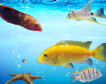 海底生物
