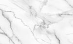高清新款鱼肚白 TIF合层