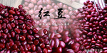 赤小豆