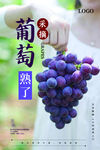 葡萄海报 采摘葡萄海报