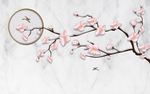 花鸟