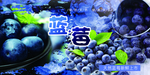 蓝莓