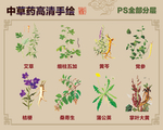 中草药手绘