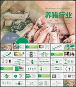 养猪行业畜牧汇报PPT