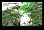 电视背景墙