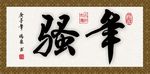 骚年