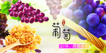 葡萄