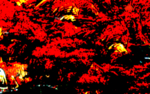 新中式装饰画