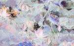 荷花油画