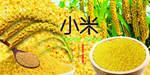 小米