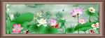 荷花图