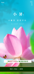 地产小暑朋友圈单图