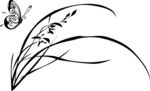 兰花蝴蝶矢量图